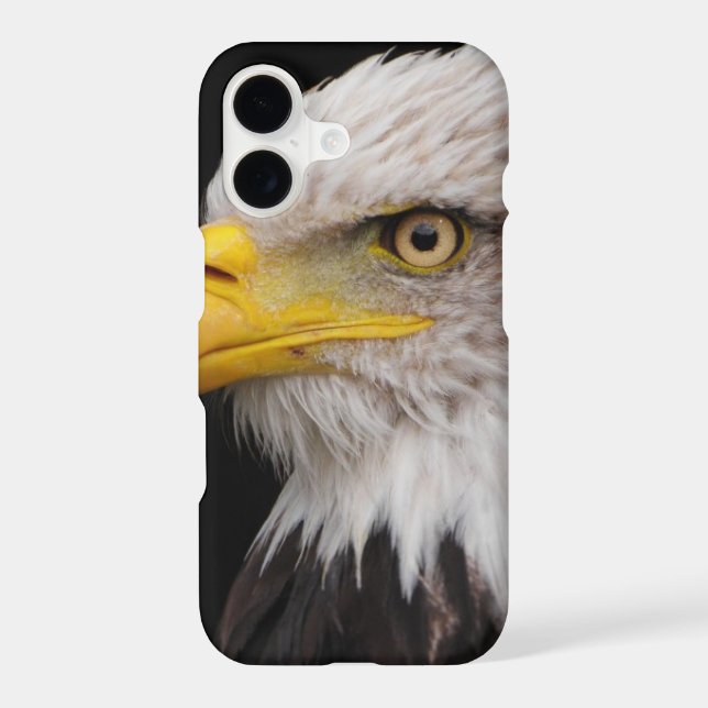 Portrait of eagle (Back)