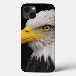 Portrait of eagle iPhone 13 case