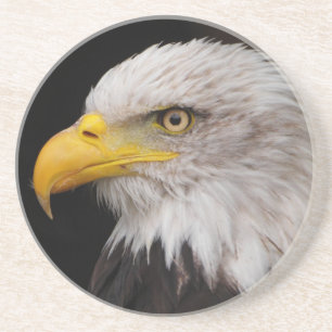 Portrait of eagle coaster