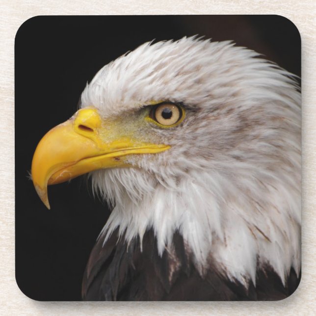 Portrait of eagle coaster (Front)