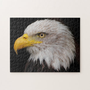 Portrait of eagle jigsaw puzzle