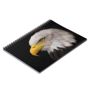 Portrait of eagle notebook