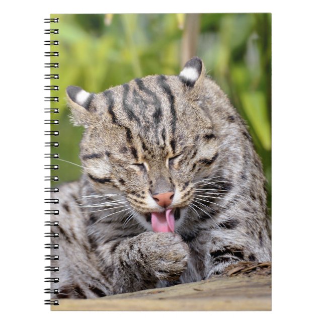 Portrait of fishing cat notebook (Front)