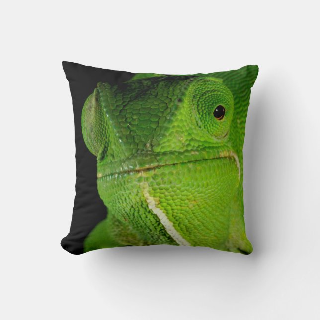 Portrait Of Flap-Necked Chameleon Cushion (Front)