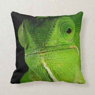 Portrait Of Flap-Necked Chameleon Cushion