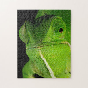 Portrait Of Flap-Necked Chameleon Jigsaw Puzzle