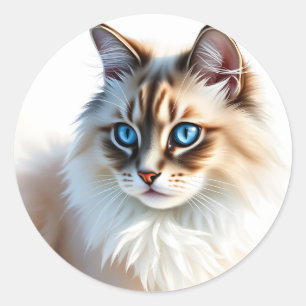 Portrait of Fluffy Ragdoll Cat with Blue Eyes Classic Round Sticker
