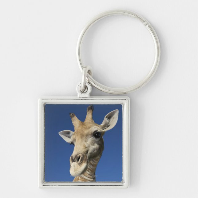 Portrait of Giraffe (Giraffa Camelopardalis) 2 Key Ring (Front)