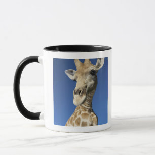 Portrait of Giraffe (Giraffa Camelopardalis) 2 Mug