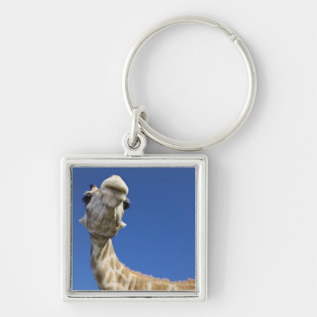 Portrait of Giraffe (Giraffa Camelopardalis) Key Ring (Front)