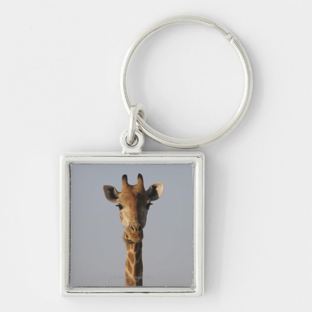 Portrait of Giraffe (Giraffa camelopardalis), Key Ring (Front)