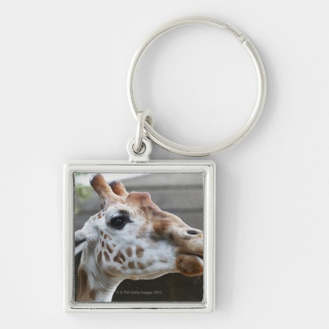 Portrait of Giraffe (Giraffa camelopardalis) Key Ring (Front)