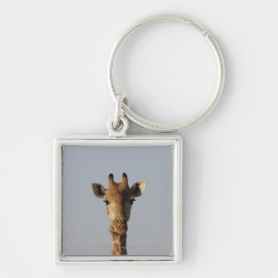 Portrait of Giraffe (Giraffa camelopardalis) Key Ring