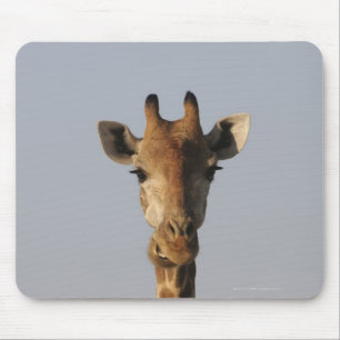 Portrait of Giraffe (Giraffa camelopardalis) Mouse Pad
