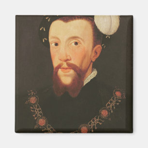 Portrait of Henry Howard, 1546 Magnet