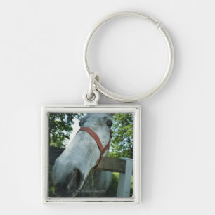 Portrait of Horse Key Ring