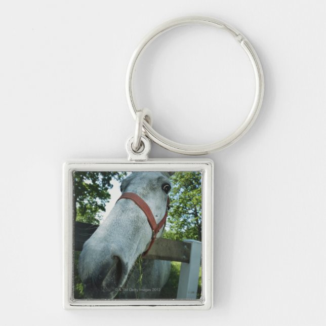 Portrait of Horse Key Ring (Front)
