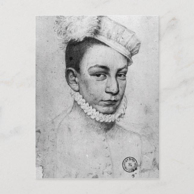 Portrait of King Charles IX of France, 1561 Postcard (Front)