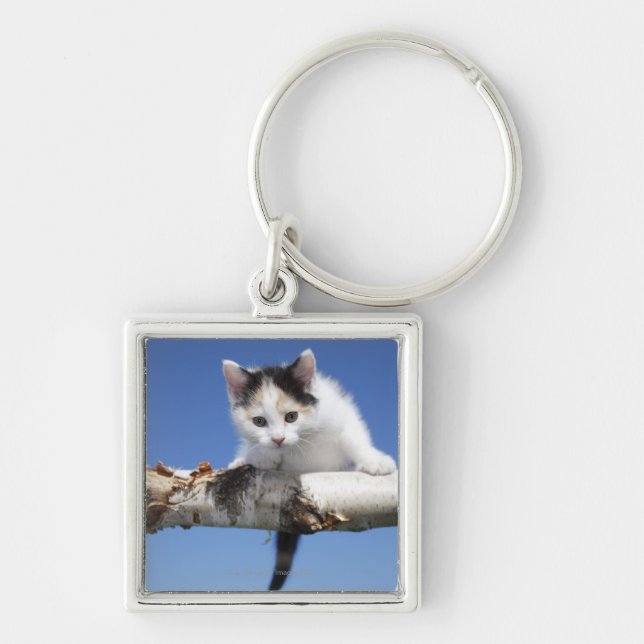 Portrait of Kitten Key Ring (Front)