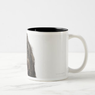 Portrait of Labradoodle dog Two-Tone Coffee Mug