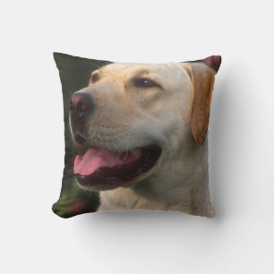 Portrait Of Labrador Retriever, Hilton Cushion