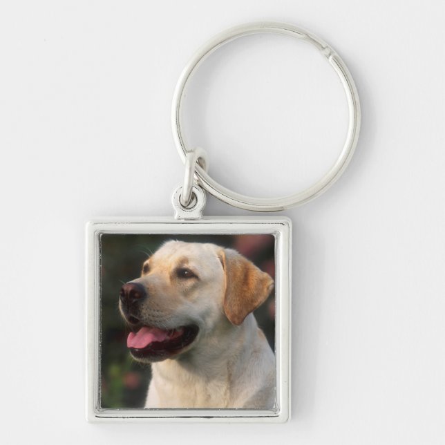 Portrait Of Labrador Retriever, Hilton Key Ring (Front)