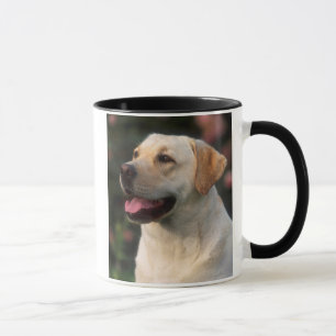 Portrait Of Labrador Retriever, Hilton Mug