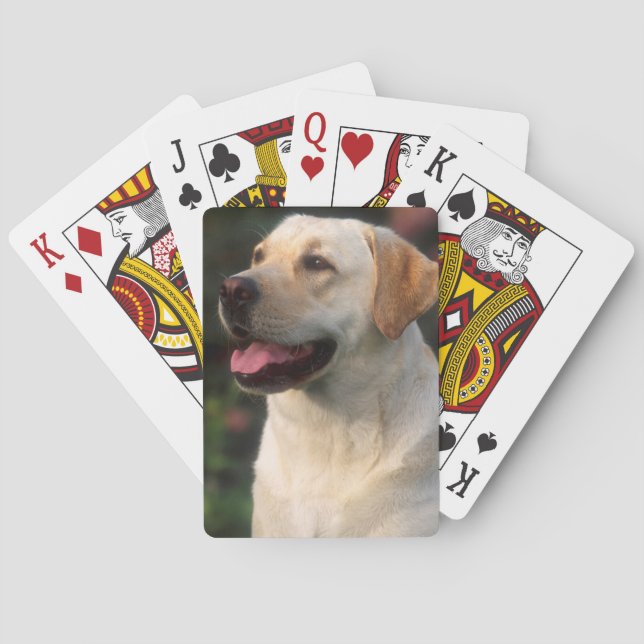Portrait Of Labrador Retriever, Hilton Playing Cards (Back)