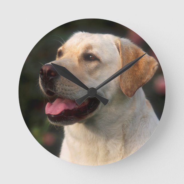 Portrait Of Labrador Retriever, Hilton Round Clock (Front)