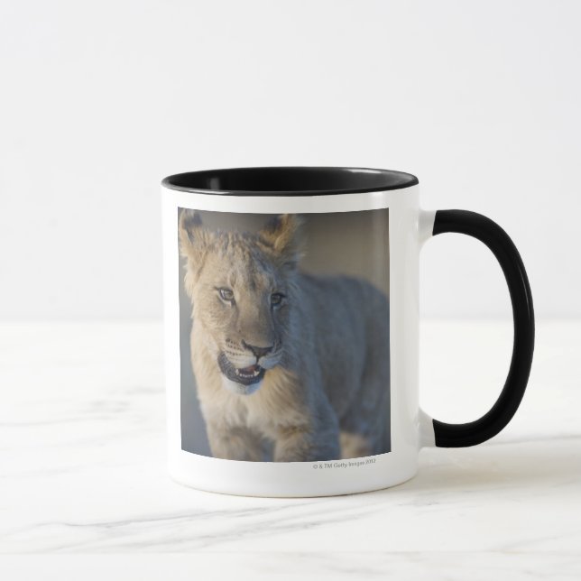Portrait of Lion Cub (Panthera Leo), Namibia Mug (Right)