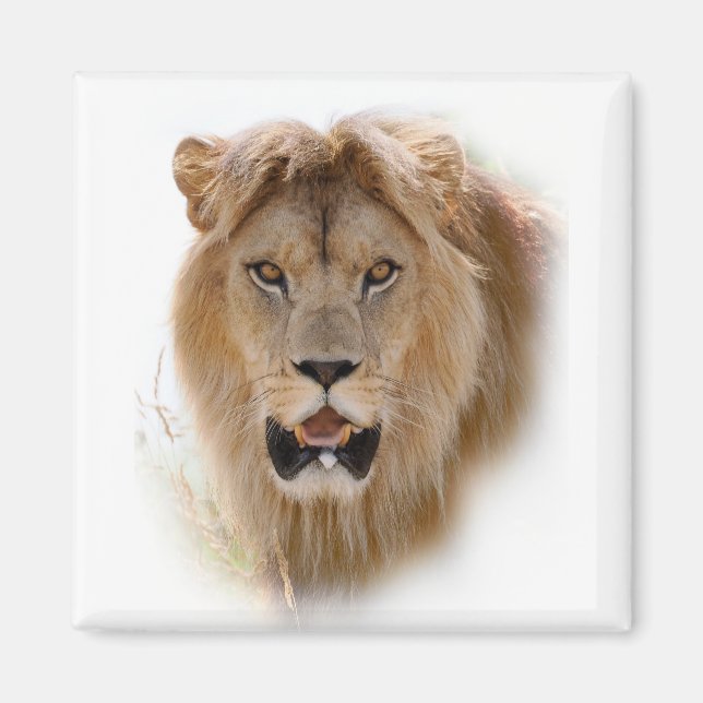 Portrait of lion magnet (Front)