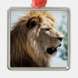 Portrait of lion seen from profile    metal ornament