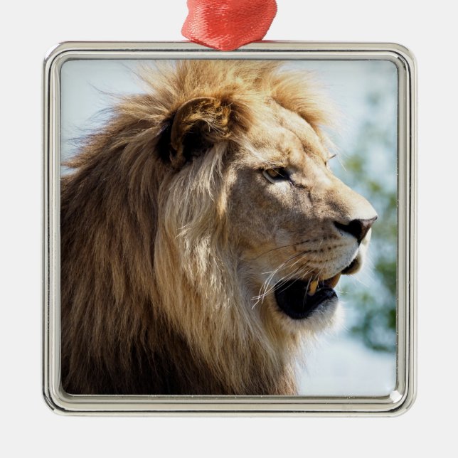 Portrait of lion seen from profile    metal ornament (Front)