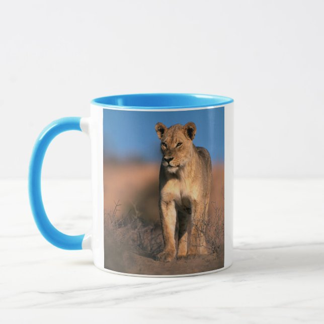 Portrait Of Lioness (Panthera Leo) Mug (Left)