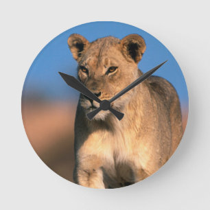 Portrait Of Lioness (Panthera Leo) Round Clock
