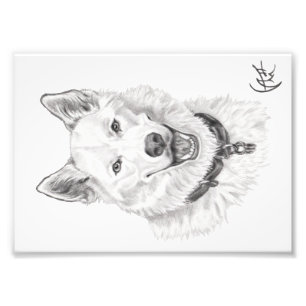 Portrait of Loki Photo Print