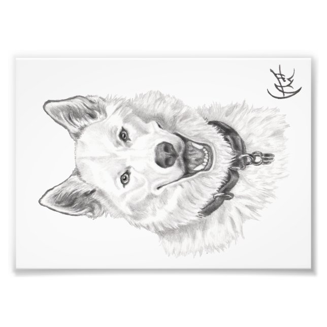 Portrait of Loki Photo Print (Front)