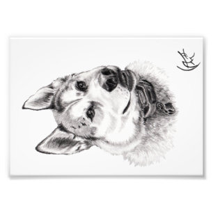 Portrait of Lugh Photo Print