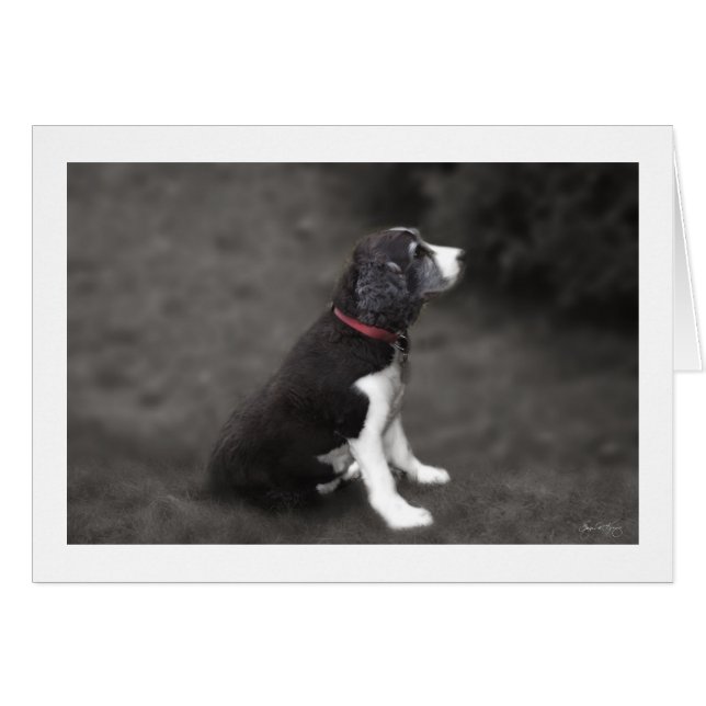 Portrait of Mabel No 1 (Front Horizontal)