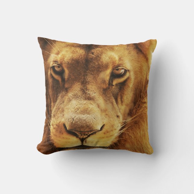 Portrait of male African lion. Cushion (Front)