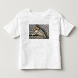 Portrait of male Golden monkey in tree Toddler T-Shirt