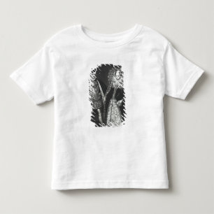 Portrait of Mary Queen of Scots Toddler T-Shirt