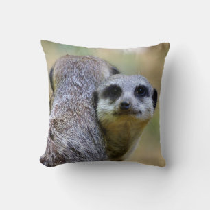 Portrait of meerkats or suricates cushion