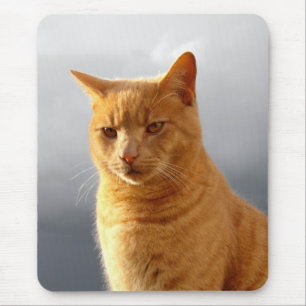 Portrait of Merlin the cat Mouse Pad