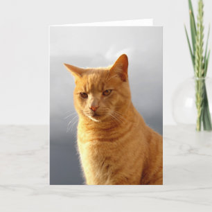 Portrait of Merlin the ginger cat Holiday Card