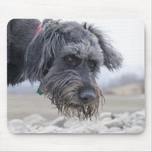 Portrait of mix breed dog, leaning over pebbles. mouse pad