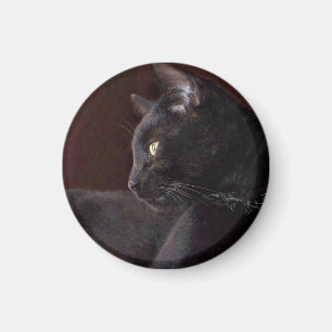 Portrait of My Boy, Charlie Magnet