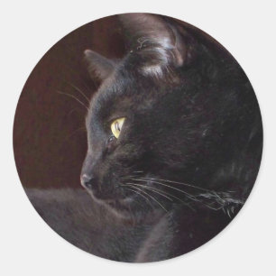 Portrait of My Boy, Charlie Round Sticker