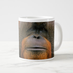 Portrait of Orang-utang Male, Georgia, USA Large Coffee Mug