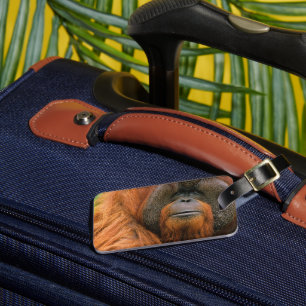 Portrait of Orang-utang Male, Georgia, USA Luggage Tag